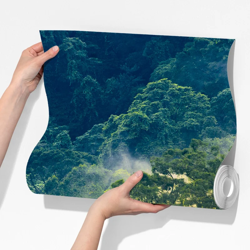 Fototapete nebliger regenwald mit baumkronen Fototapete nebliger regenwald mit baumkronen