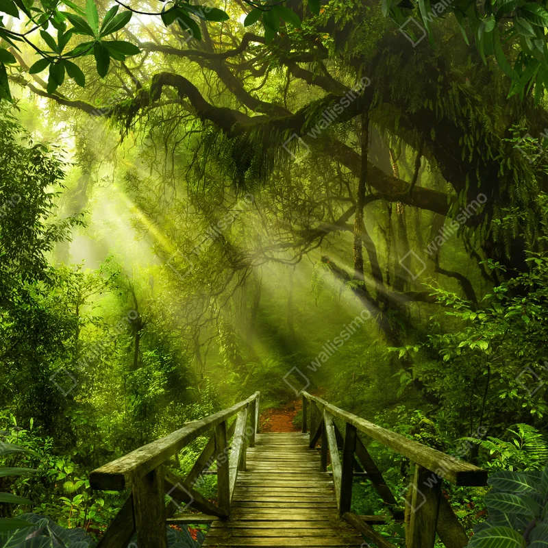 Fensteraufkleber sonnenbeschienener waldweg Fensteraufkleber sonnenbeschienener waldweg