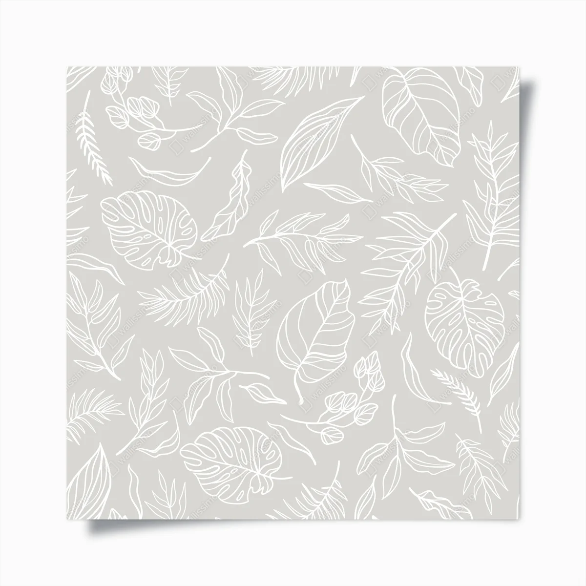 Poster zarte weiße blätter auf grauem hintergrund • Poster bei Wallnifity® Poster zarte weiße blätter auf grauem hintergrund • Poster bei Wallnifity®