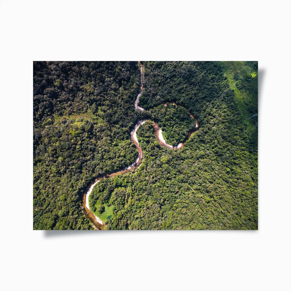 Poster Blick auf den Fluss im Regenwald, Brasilien • Poster bei Wallnifity® Poster Blick auf den Fluss im Regenwald, Brasilien • Poster bei Wallnifity®