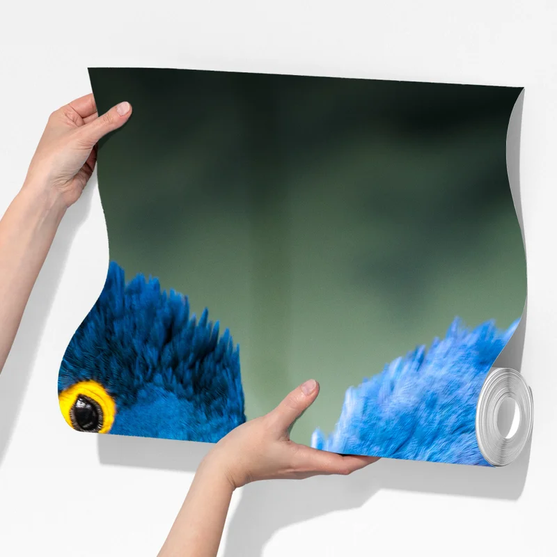 Fototapeta para niebieskich ary - portret z bliska Fototapeta para niebieskich ary - portret z bliska