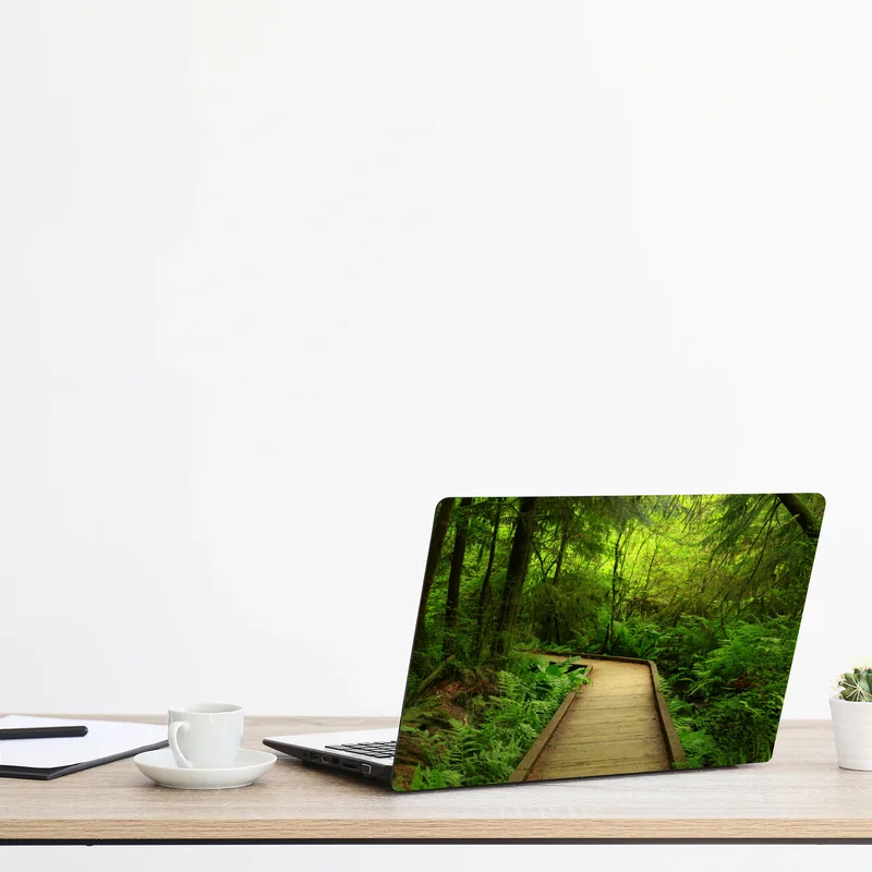 Naklejka na laptopa spokojna zielona kładka leśna