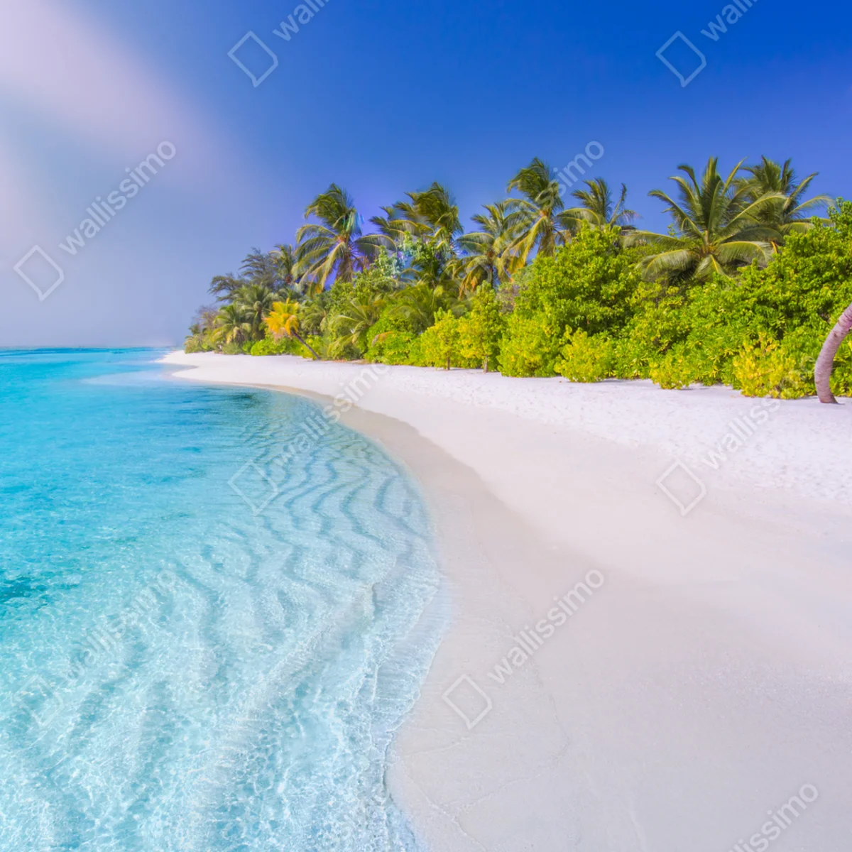 Fototapeta tropikalna turkusowa plaża Fototapeta tropikalna turkusowa plaża