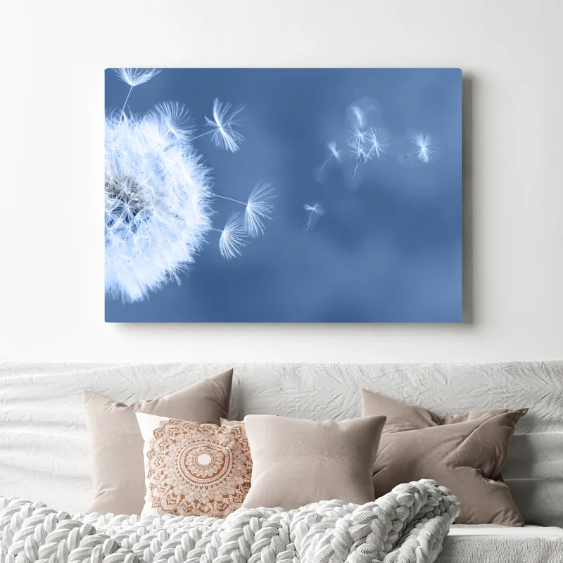 Leinwandbild zarte löwenzahnsamen in blau Leinwandbild zarte löwenzahnsamen in blau