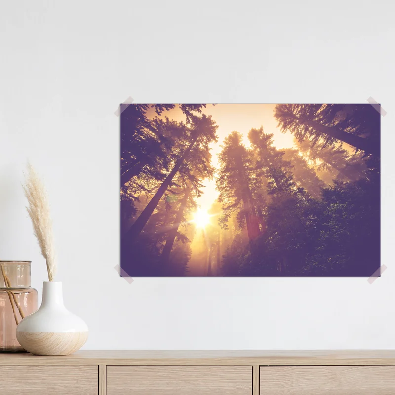 Poster nebeliger mamutbaumwald im goldenen vintagelicht Poster nebeliger mamutbaumwald im goldenen vintagelicht