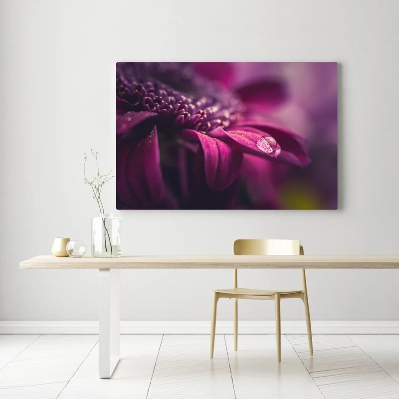 Leinwandbild lila makroblüte mit tautropfen • Leinwandbilder bei Wallnifity® Leinwandbild lila makroblüte mit tautropfen • Leinwandbilder bei Wallnifity®
