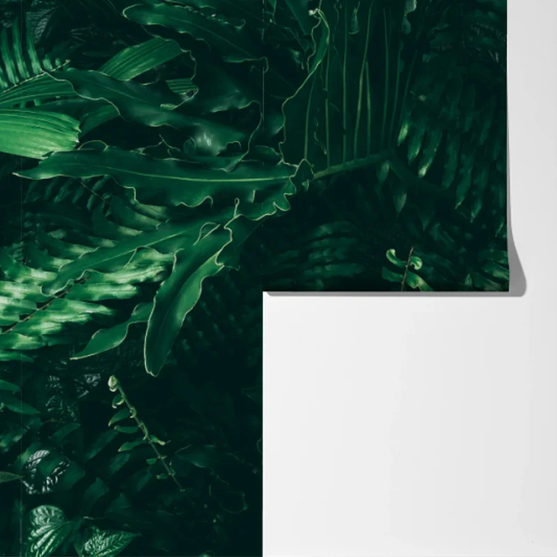 Fototapete üppige tropische grüne blätter Fototapete üppige tropische grüne blätter