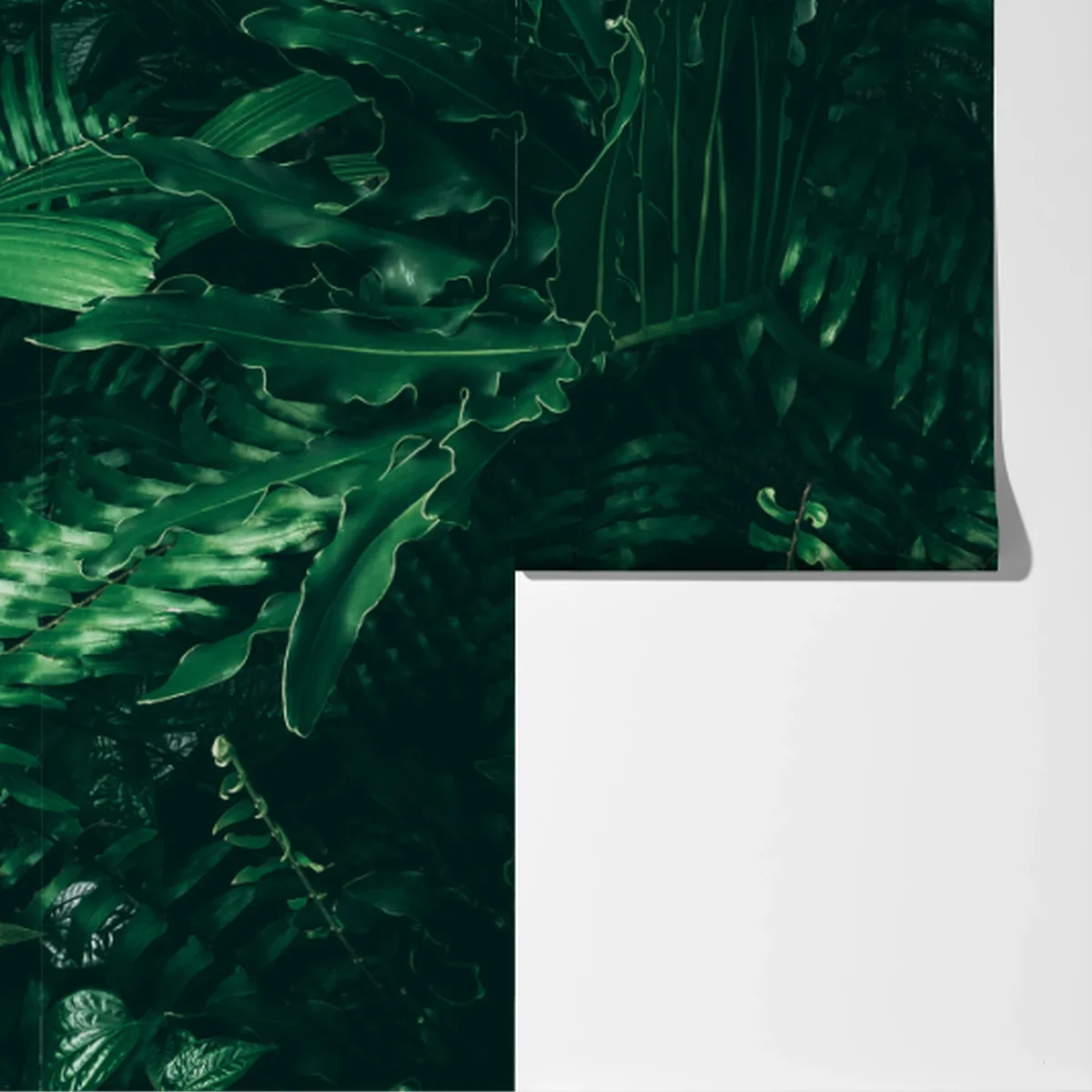 Fototapete üppige tropische grüne blätter Fototapete üppige tropische grüne blätter