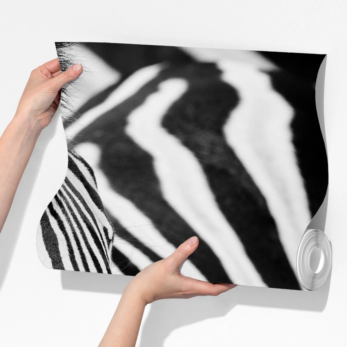 Fototapete zebra in monochromen streifen Fototapete zebra in monochromen streifen