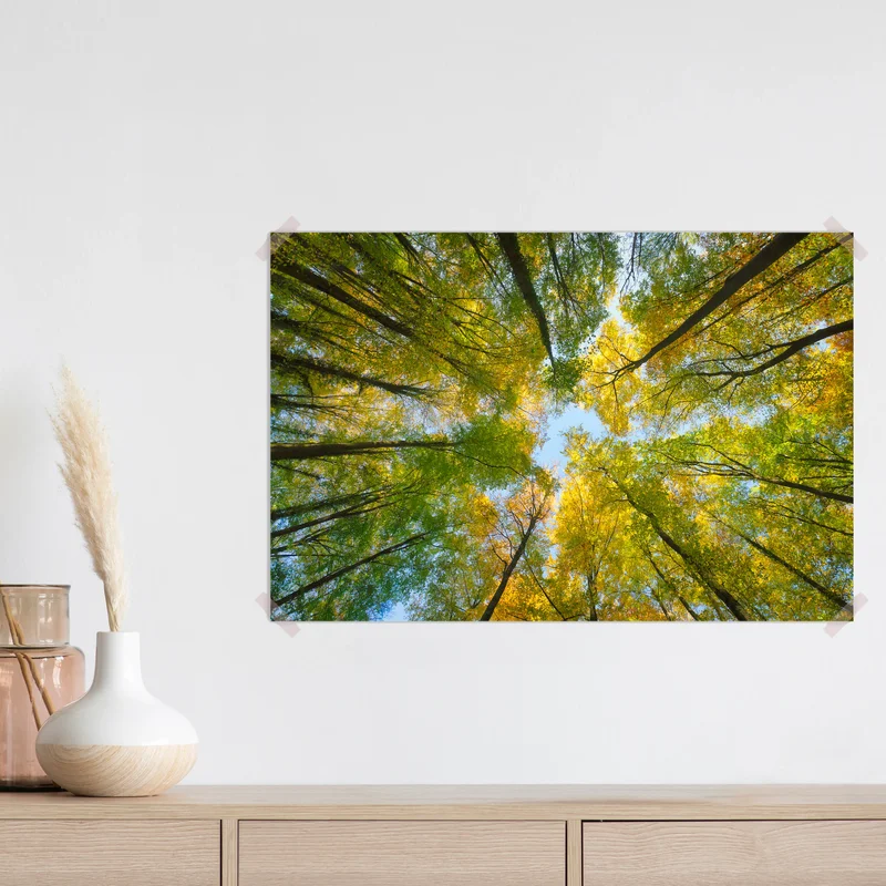 Poster Herbst Baumkronen nach oben Blick von unten • Poster bei Wallnifity® Poster Herbst Baumkronen nach oben Blick von unten • Poster bei Wallnifity®