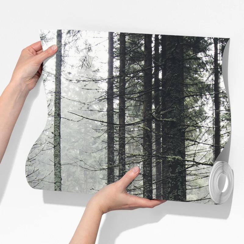 Fototapete nebliger moosbedeckter wald Fototapete nebliger moosbedeckter wald