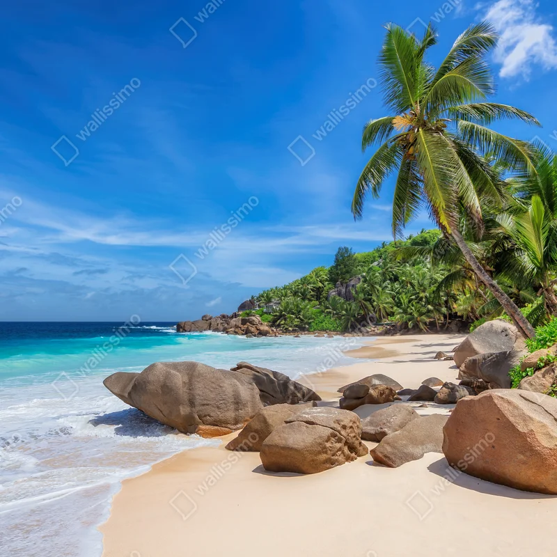 Poster tropischer palmenstrand Poster tropischer palmenstrand