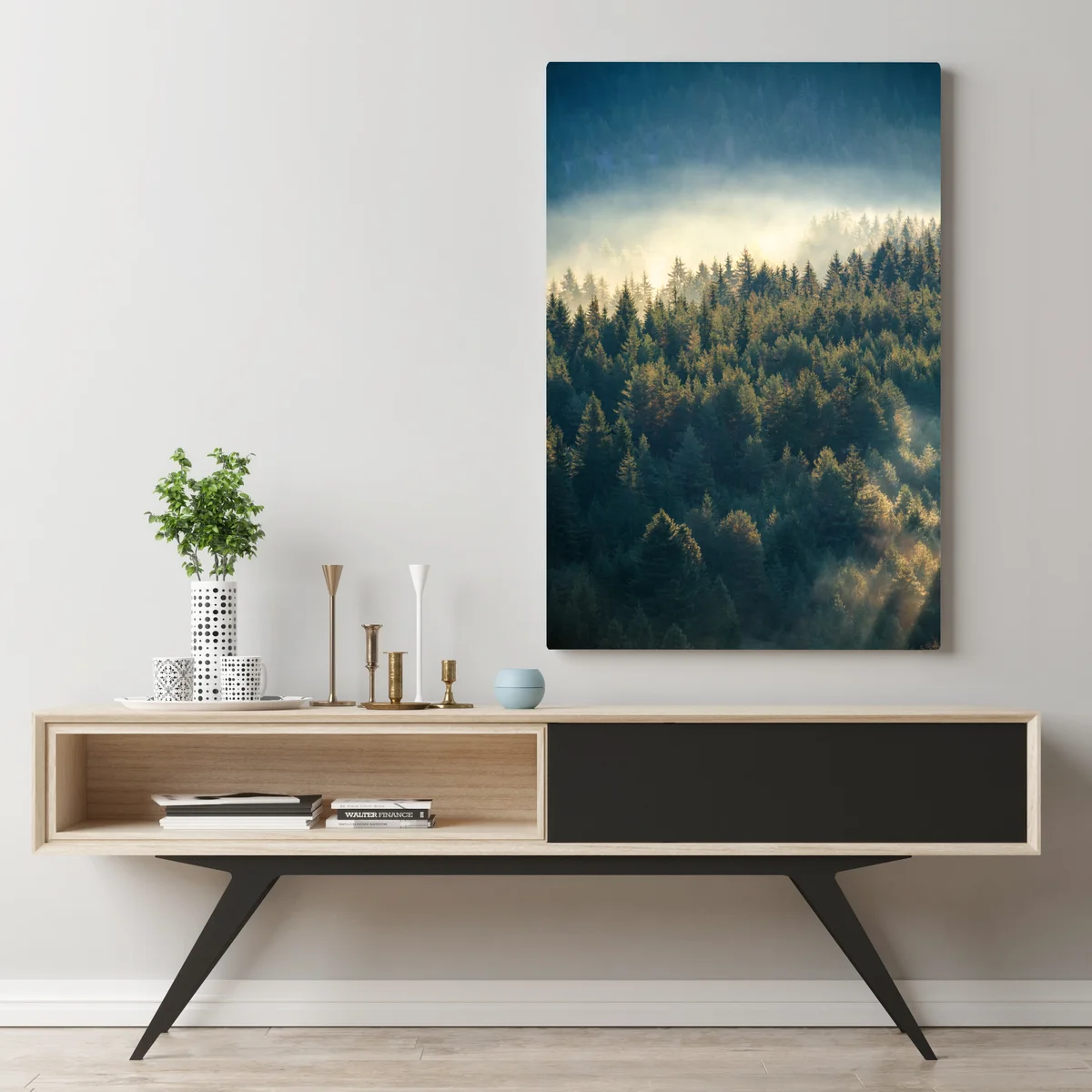 Leinwandbild nebliger kiefernwald im morgenlicht Leinwandbild nebliger kiefernwald im morgenlicht
