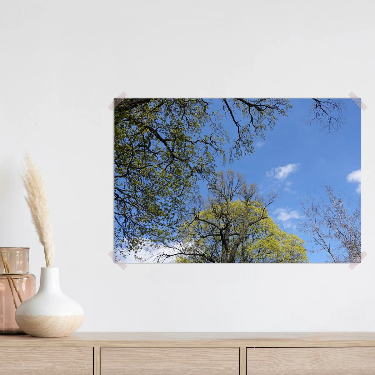 Poster Wipfel alter Bäume gegen den blauen Himmel im Frühling. das Erwachen der Natur. niedriger Winkel. • Poster bei Wallnifity® Poster Wipfel alter Bäume gegen den blauen Himmel im Frühling. das Erwachen der Natur. niedriger Winkel. • Poster bei Wallnifity®