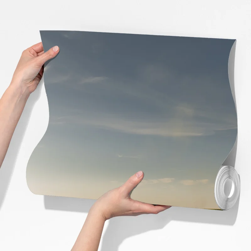 Fototapeta słoneczne pole soi o zmierzchu Fototapeta słoneczne pole soi o zmierzchu