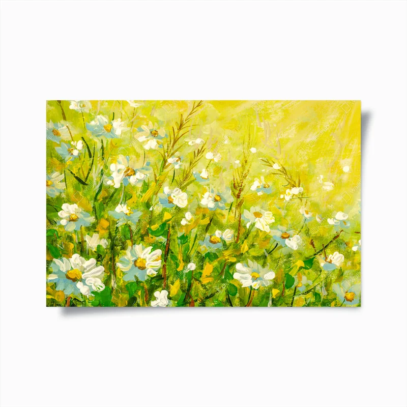 Poster sonnige kamillenwiese • Poster bei Wallnifity® Poster sonnige kamillenwiese • Poster bei Wallnifity®