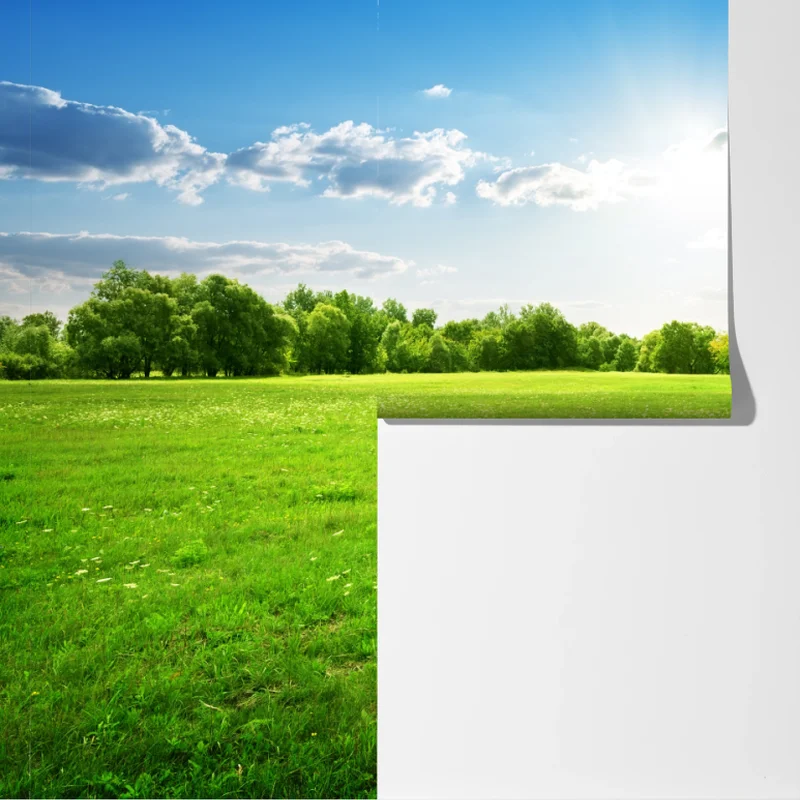 Fototapeta słoneczna zielona łąka Fototapeta słoneczna zielona łąka