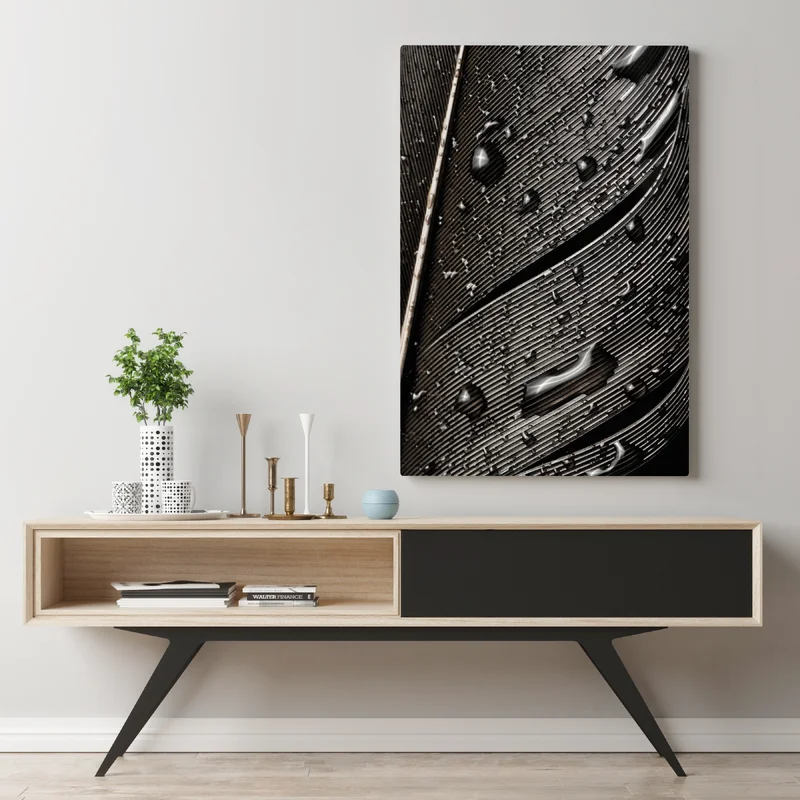 Leinwandbild monochrome feder mit wassertropfen Leinwandbild monochrome feder mit wassertropfen