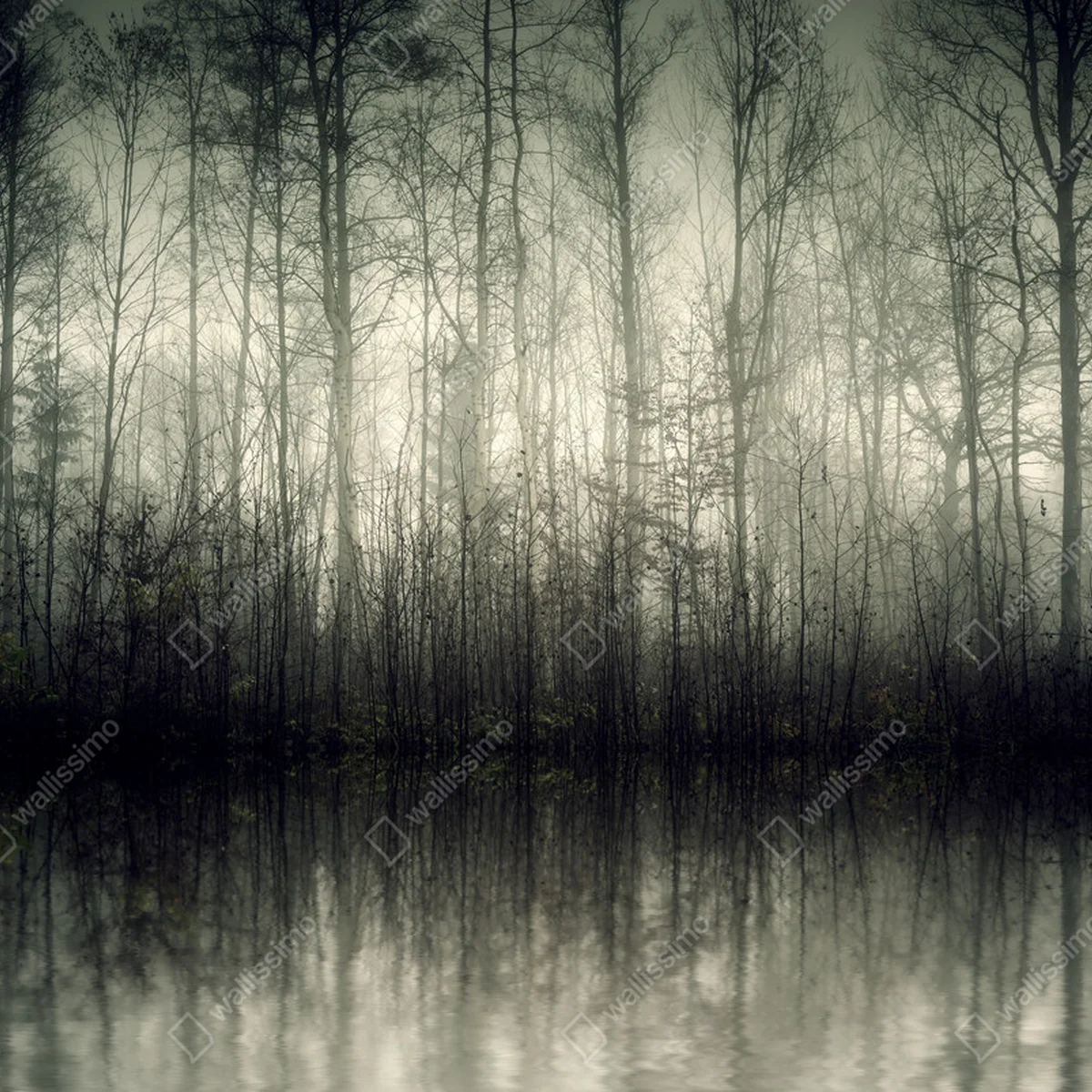 Poster Nebel • Poster bei Wallnifity® Poster Nebel • Poster bei Wallnifity®