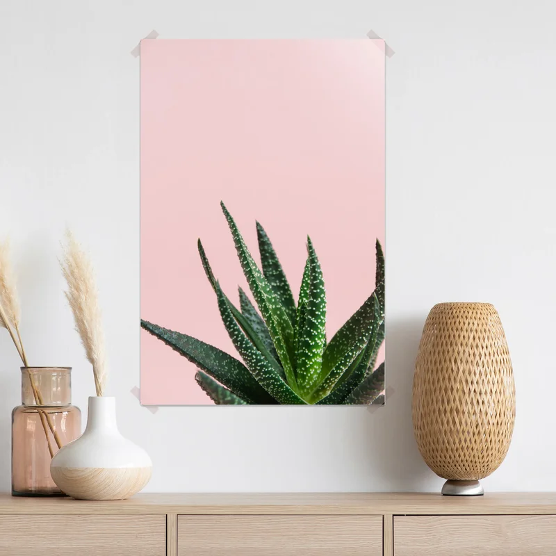 Poster grüner aloes auf rosa hintergrund Poster grüner aloes auf rosa hintergrund