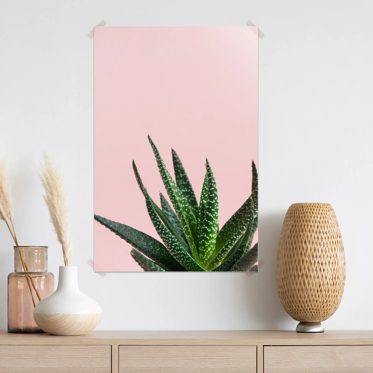 Poster grüner aloes auf rosa hintergrund Poster grüner aloes auf rosa hintergrund
