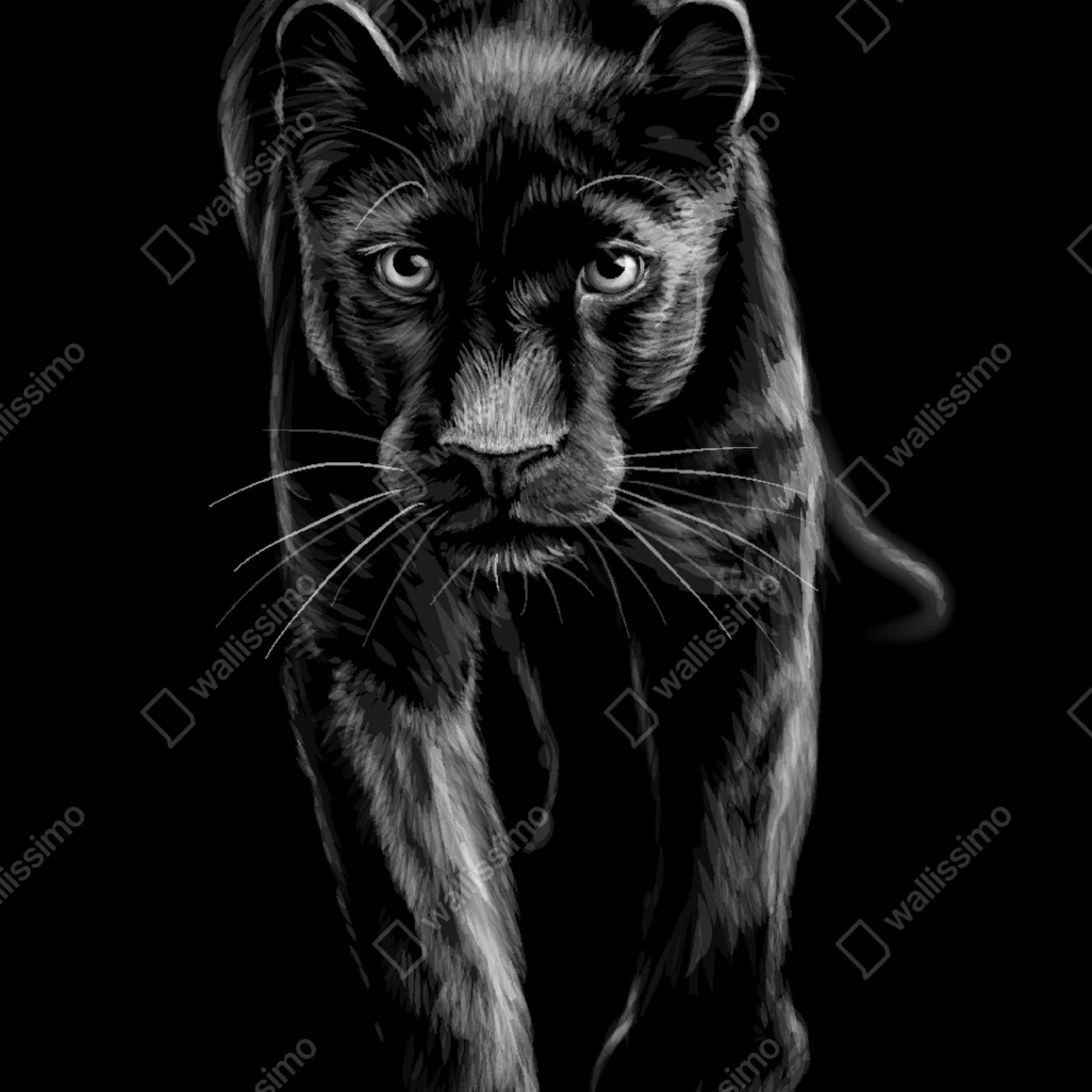 Repositionierbarer Aufkleber schreitender schwarzer panther illustration Repositionierbarer Aufkleber schreitender schwarzer panther illustration