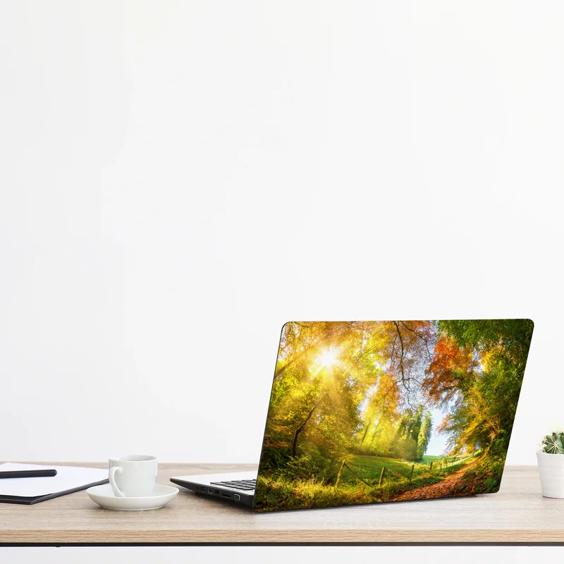 Naklejka na laptopa złota jesienna ścieżka przez las