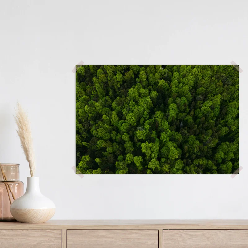 Poster Luftaufnahme von dunklen Mischkiefern und üppigem Wald mit grünen Baumkronen • Poster bei Wallnifity® Poster Luftaufnahme von dunklen Mischkiefern und üppigem Wald mit grünen Baumkronen • Poster bei Wallnifity®