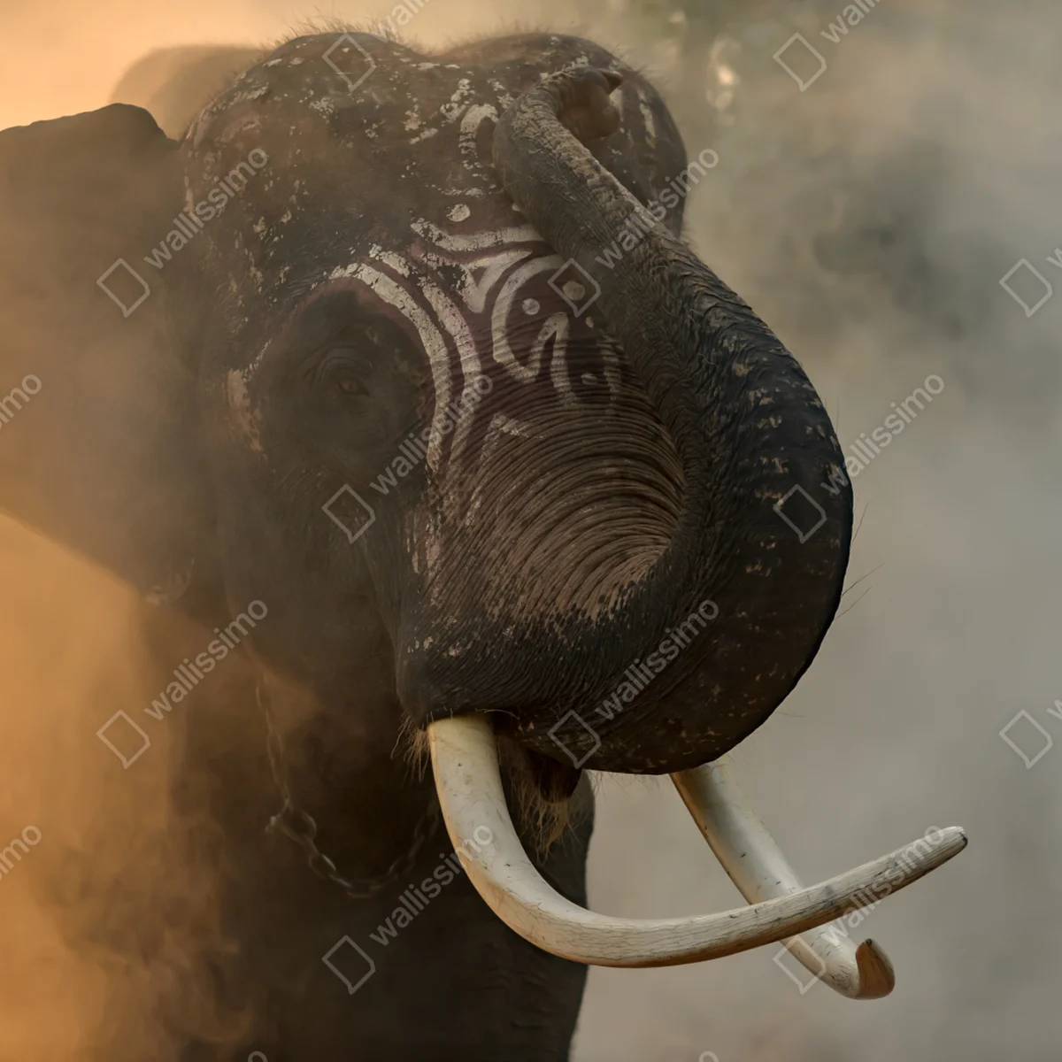 Repositionierbarer Aufkleber majestätischer Thai-elefant mit stoßzähnen Repositionierbarer Aufkleber majestätischer Thai-elefant mit stoßzähnen