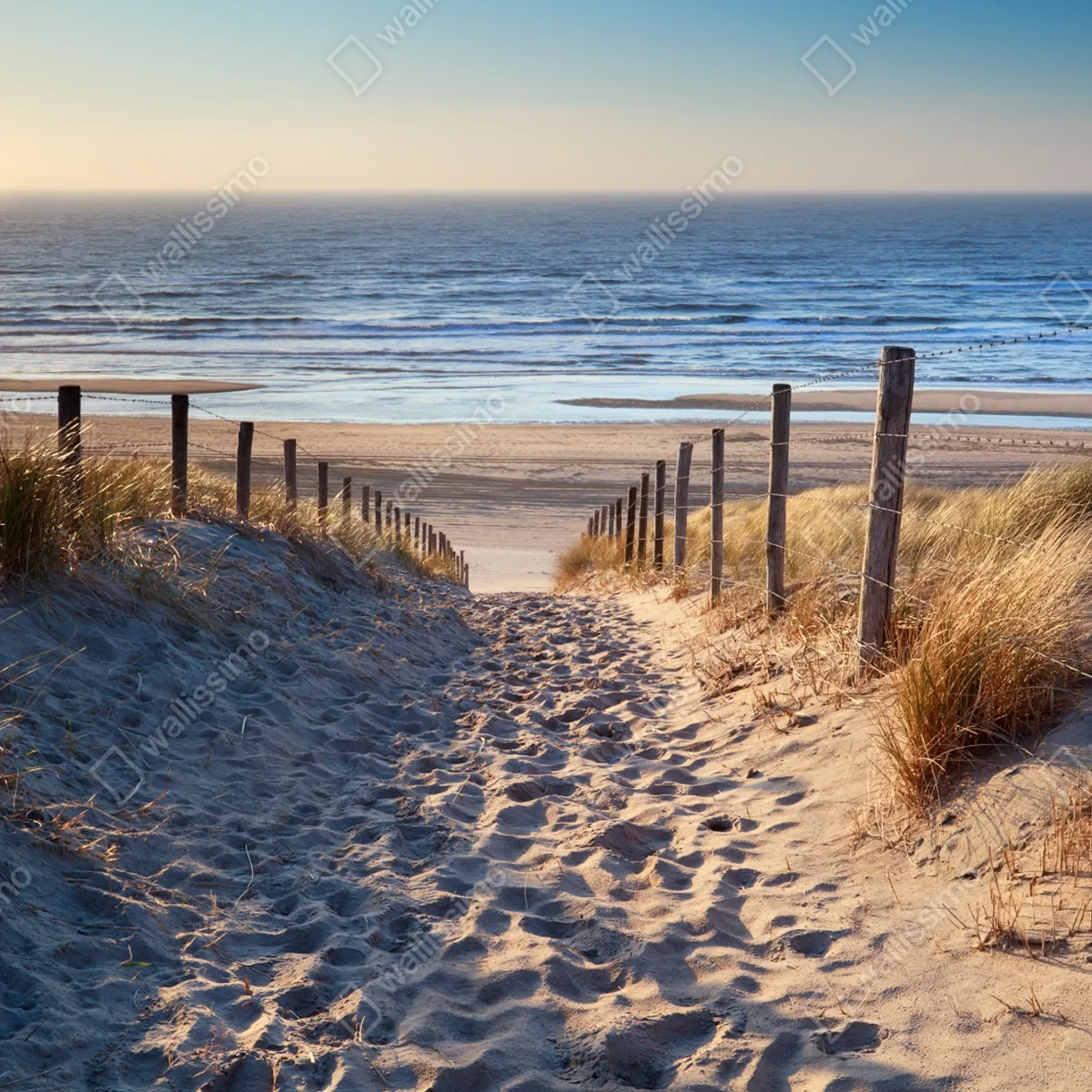 Fototapete weg zum strand der Nordsee im goldenen sonnenuntergang Fototapete weg zum strand der Nordsee im goldenen sonnenuntergang