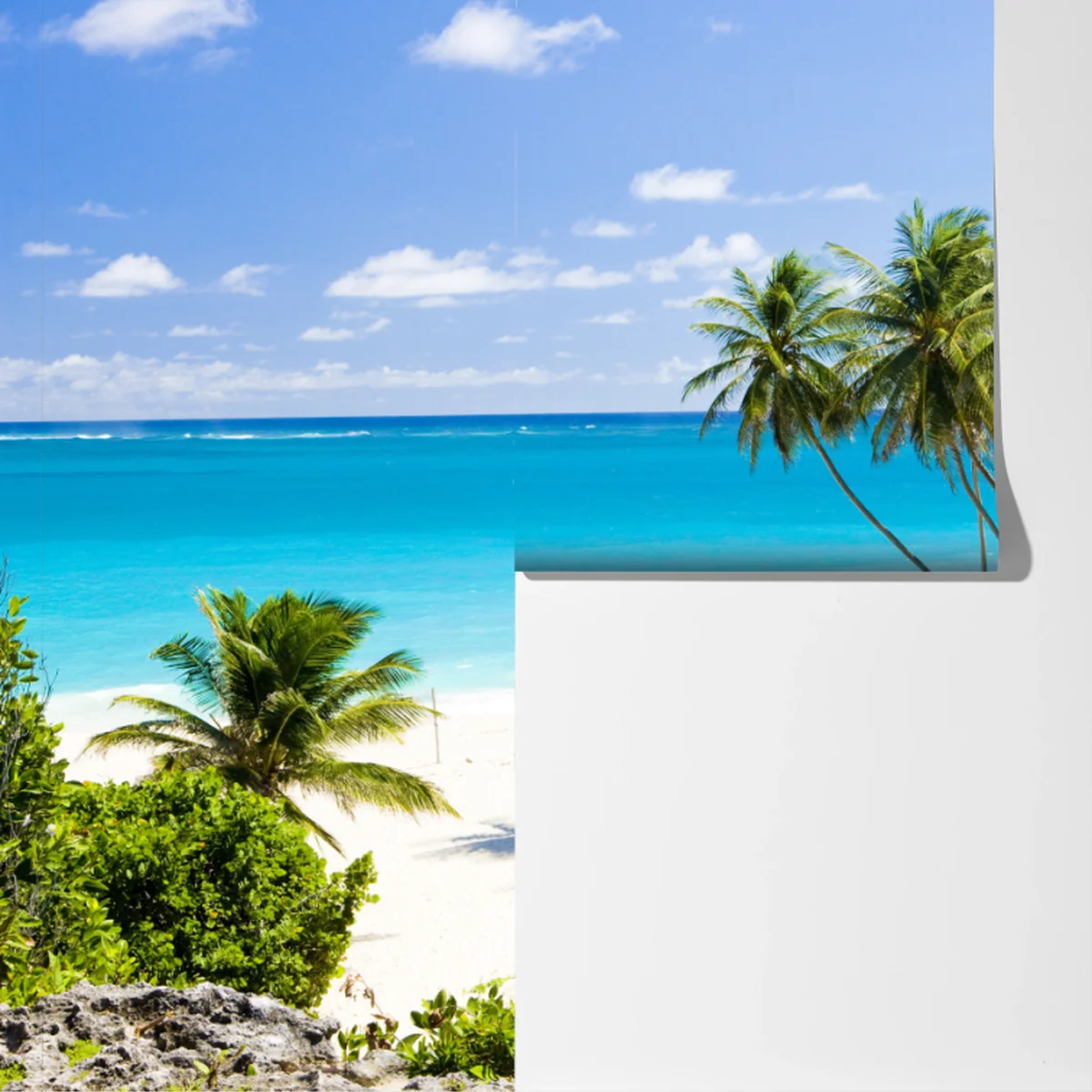 Fototapete Bottom Bay palmenstrand, Barbados Fototapete Bottom Bay palmenstrand, Barbados