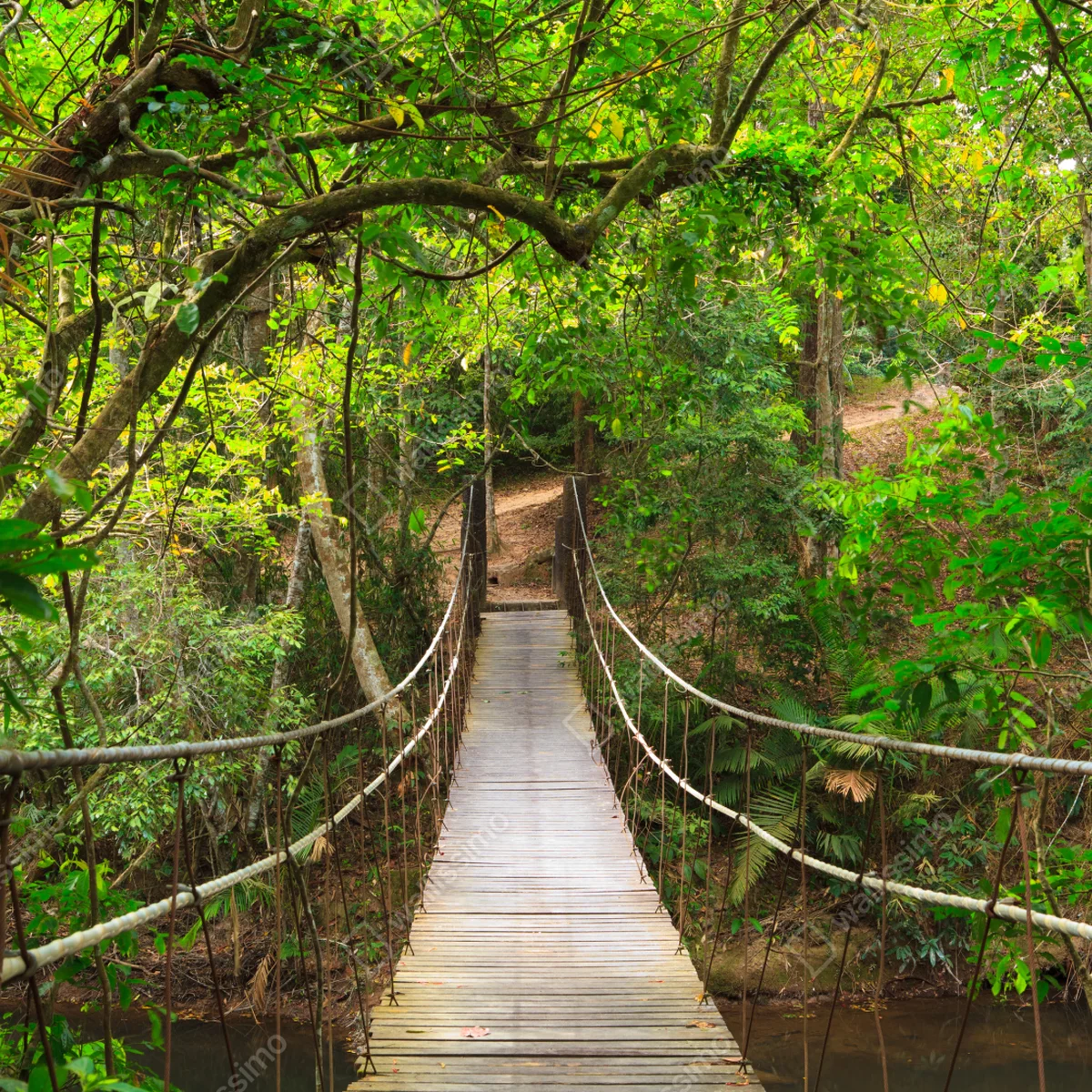 Leinwandbild hängende holzbrücke im grünen wald Leinwandbild hängende holzbrücke im grünen wald