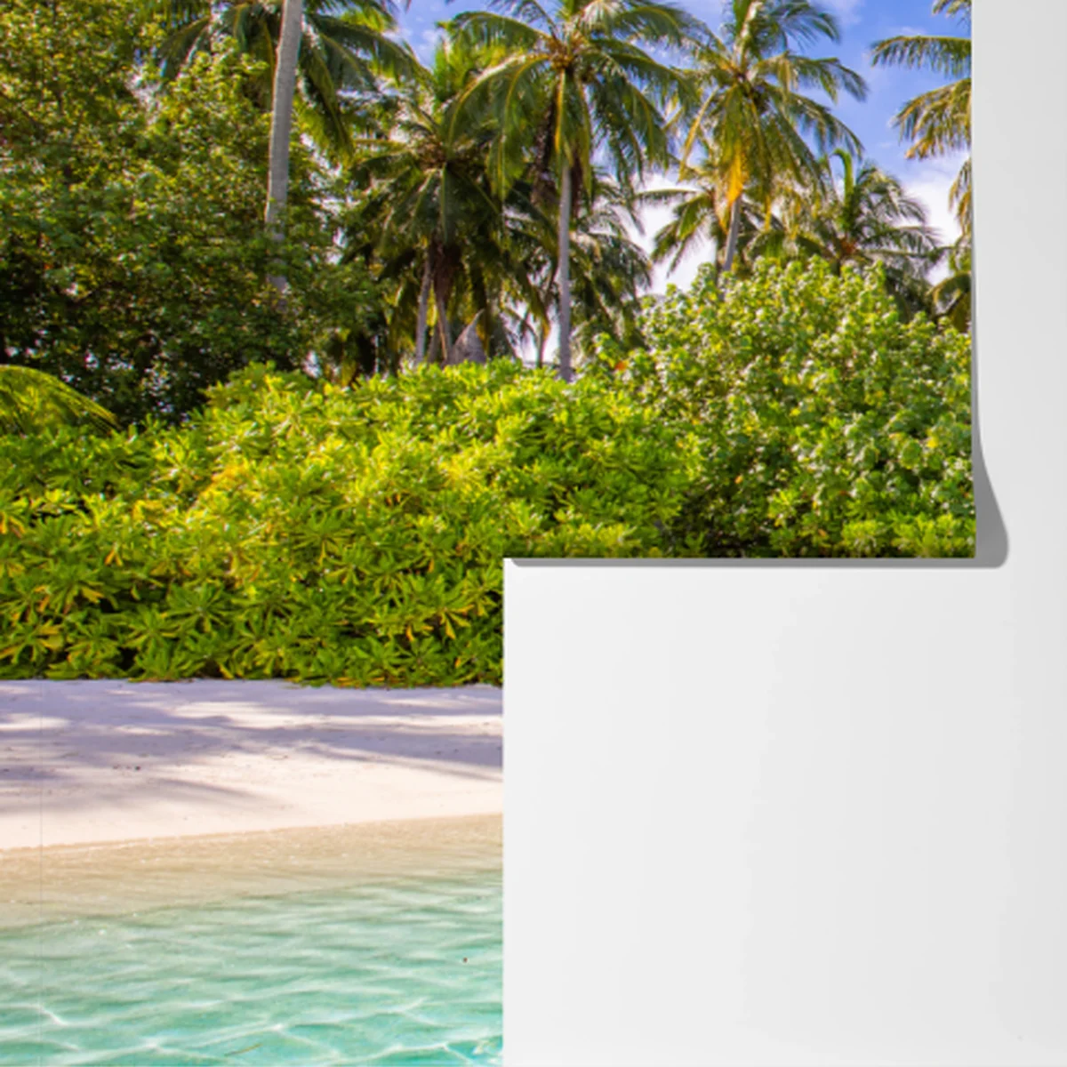 Fototapete tropischer palmenstrand Fototapete tropischer palmenstrand