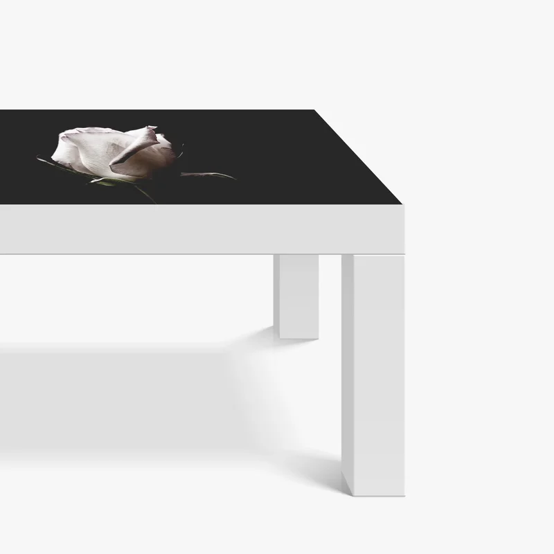 Tischaufkleber und Schreibtischaufkleber weiße rose vor schwarzem hintergrund