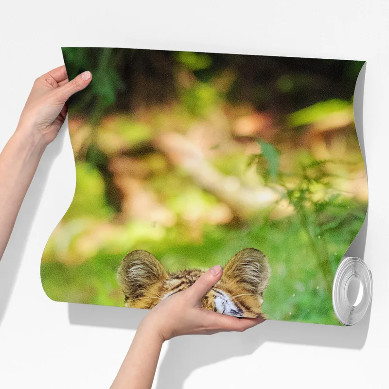 Fototapete majestätischer tiger im waldbach Fototapete majestätischer tiger im waldbach