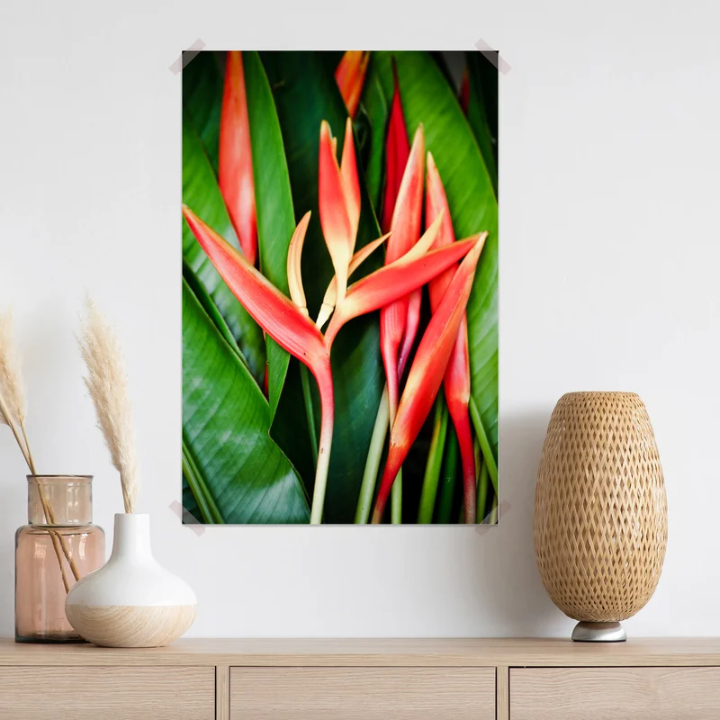 Poster leuchtende tropische heliconia-blüten Poster leuchtende tropische heliconia-blüten