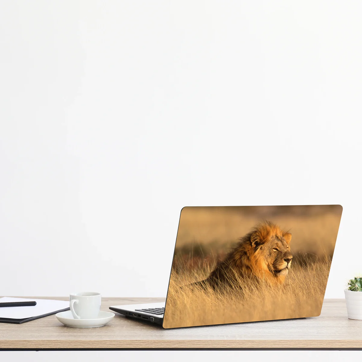 Naklejka na laptopa majestatyczny lew w wysokiej trawie Naklejka na laptopa majestatyczny lew w wysokiej trawie