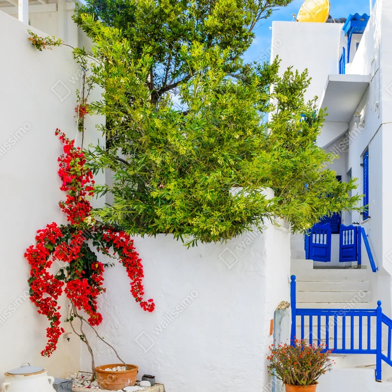 Türaufkleber sonniger mediterraner innenhof mit bougainvillea Türaufkleber sonniger mediterraner innenhof mit bougainvillea