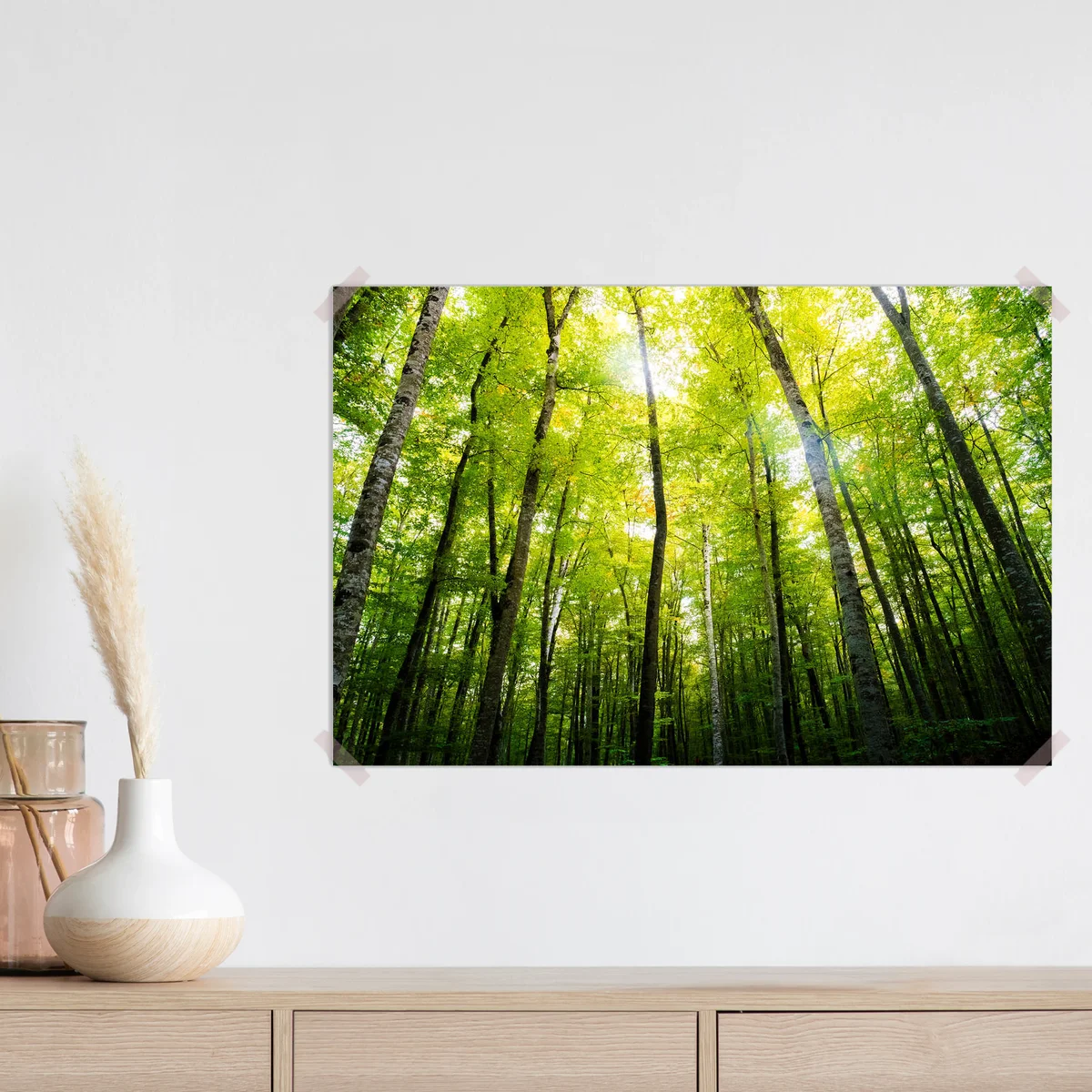 Poster herbstlicher Buchenwald mit der Sonne, die die grünen Baumkronen erhellt, naturgrüner Waldhintergrund, Ökologie und Naturschutzkonzept • Poster bei Wallnifity® Poster herbstlicher Buchenwald mit der Sonne, die die grünen Baumkronen erhellt, naturgrüner Waldhintergrund, Ökologie und Naturschutzkonzept • Poster bei Wallnifity®