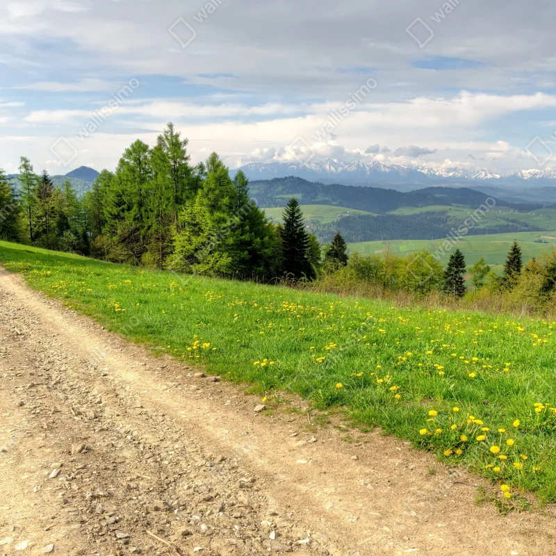 Tischaufkleber und Schreibtischaufkleber Gorce frühlingspfad Tischaufkleber und Schreibtischaufkleber Gorce frühlingspfad