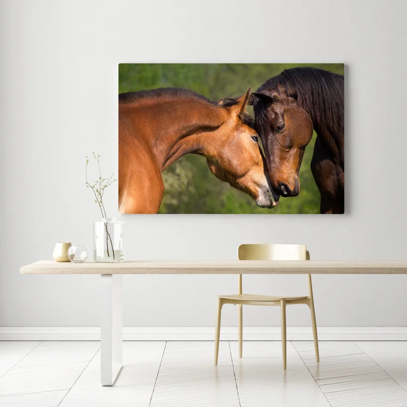 Leinwandbild zärtliche pferdefreundschaft Leinwandbild zärtliche pferdefreundschaft