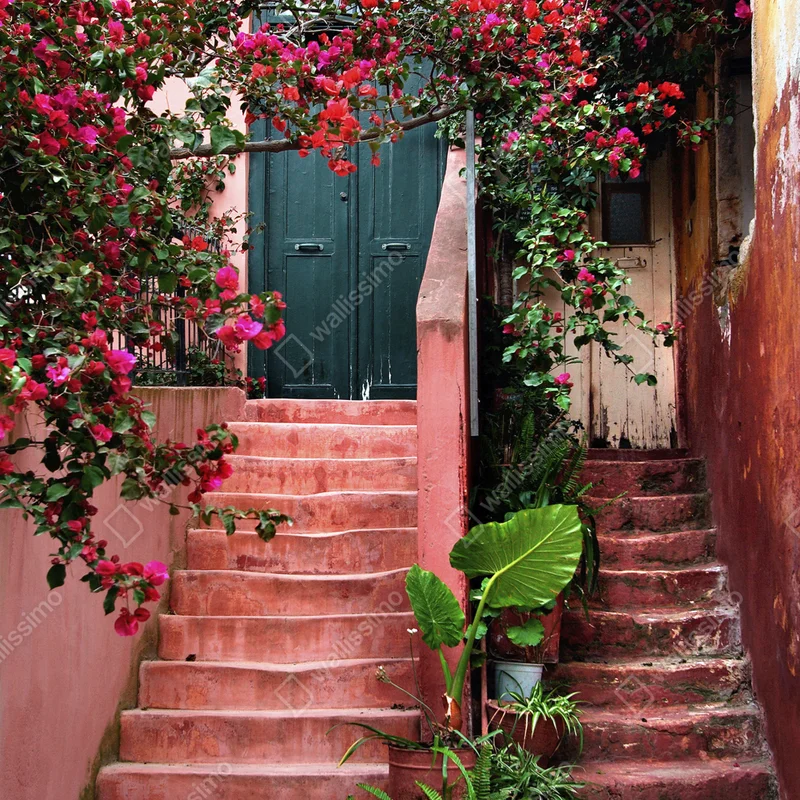 Türaufkleber treppe mit bougainvillea und grünen pflanzen Türaufkleber treppe mit bougainvillea und grünen pflanzen