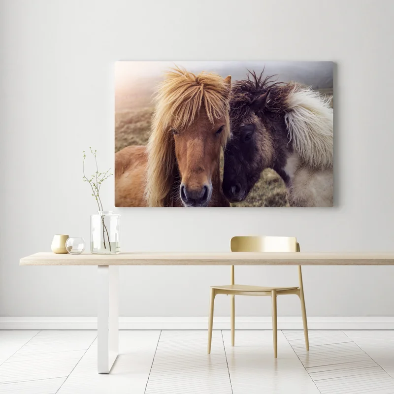 Leinwandbild zwei pferde auf einem nebligen hügel, Färöer-Inseln Leinwandbild zwei pferde auf einem nebligen hügel, Färöer-Inseln