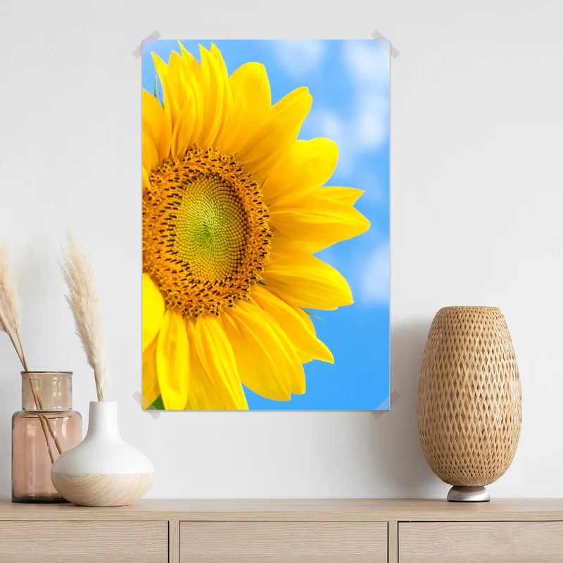 Poster leuchtende sonnenblume vor blauem himmel Poster leuchtende sonnenblume vor blauem himmel