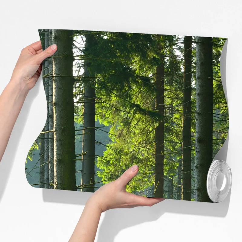 Fototapeta słoneczna zielona polana w lesie Fototapeta słoneczna zielona polana w lesie