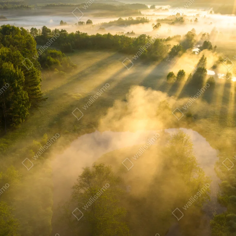 Leinwandbild goldener morgen über nebligem fluss Leinwandbild goldener morgen über nebligem fluss