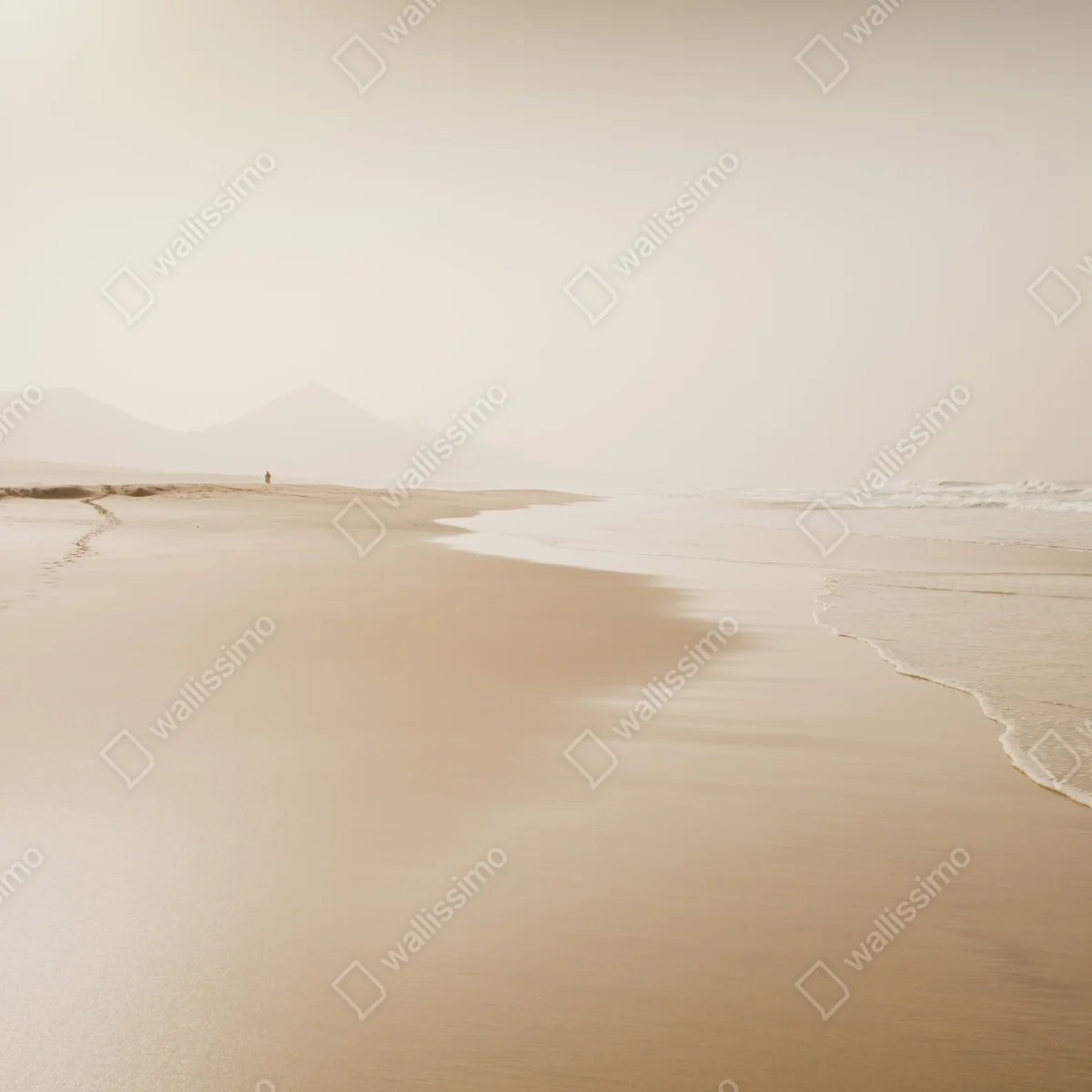 Schrankaufkleber ruhiger sepia strand Schrankaufkleber ruhiger sepia strand