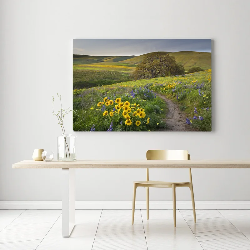 Leinwandbild pfad durch blumenwiese mit eichenbaum Leinwandbild pfad durch blumenwiese mit eichenbaum