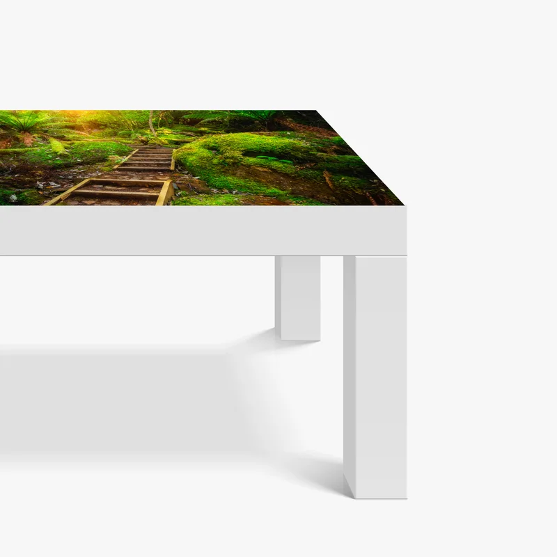 Tischaufkleber und Schreibtischaufkleber moosiger regenwaldpfad auf der Tasman-Halbinsel Tischaufkleber und Schreibtischaufkleber moosiger regenwaldpfad auf der Tasman-Halbinsel