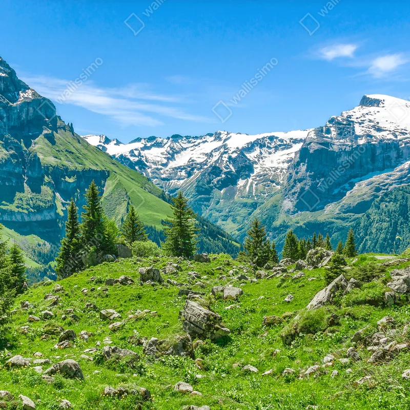 Fototapeta słoneczna łąka w Engelberg Fototapeta słoneczna łąka w Engelberg